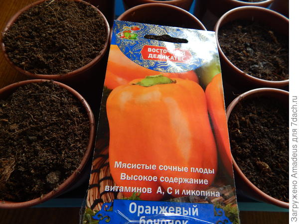 ттттт