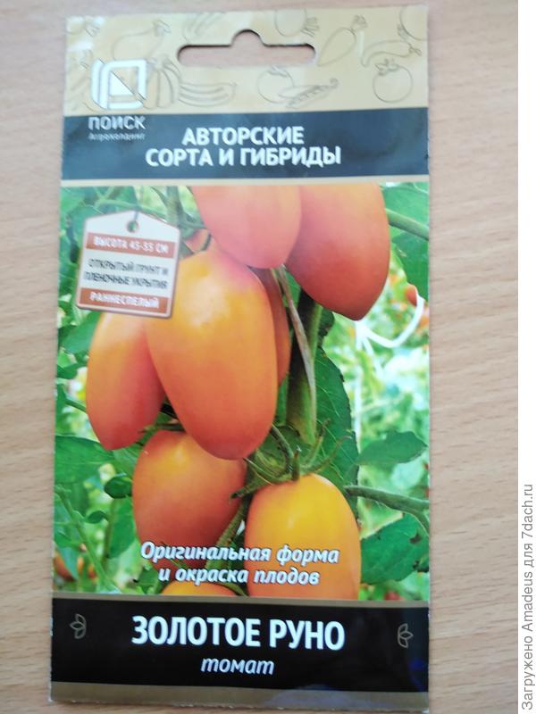 Тттт