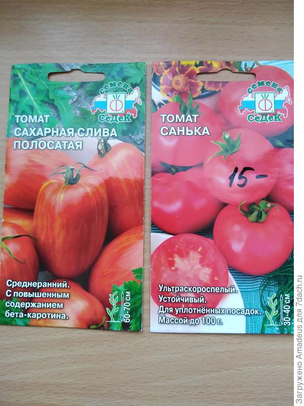 Тттт