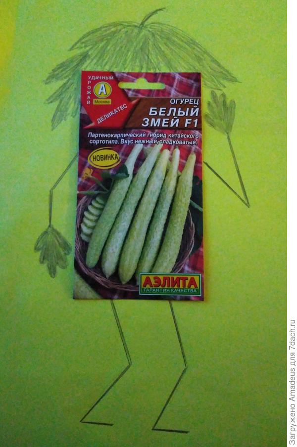 Тттьььь