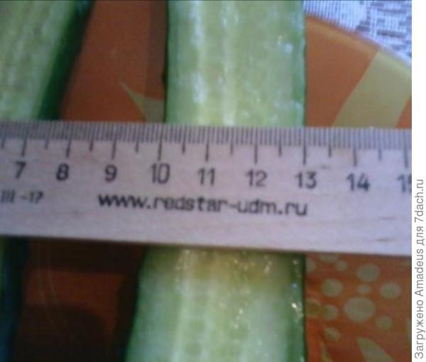 Тттт