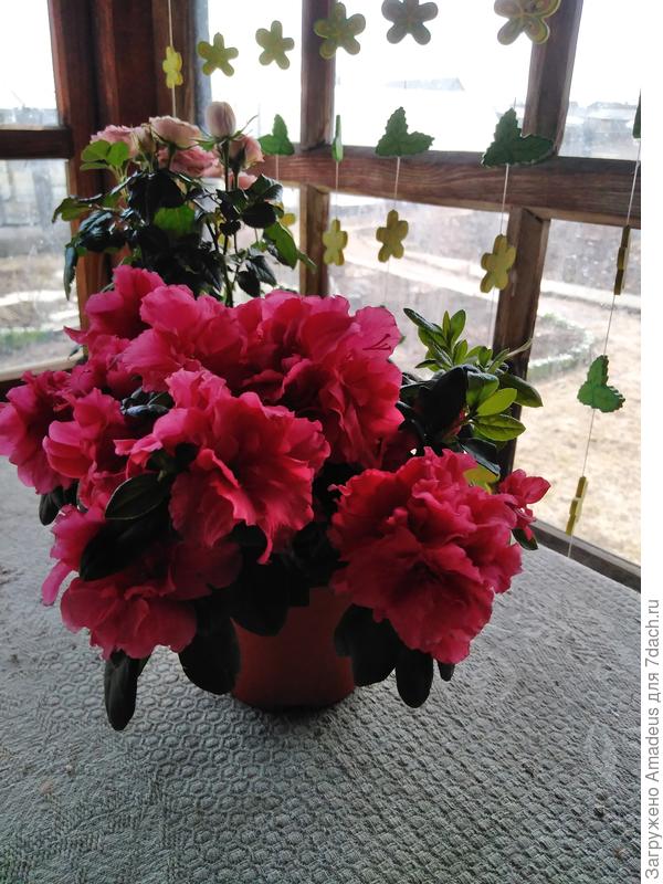 Ничего особенного!