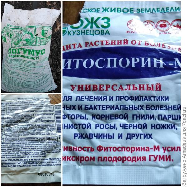 Ттттт