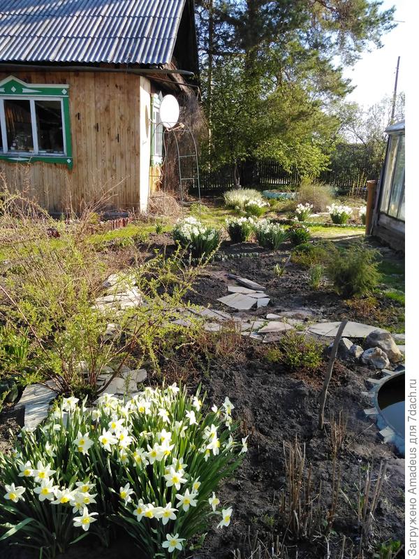 Как наступило тепло сразу все бурно начинает цвести