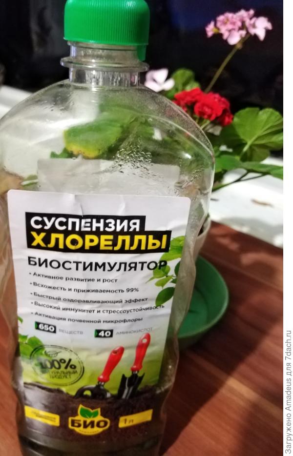 Тттт