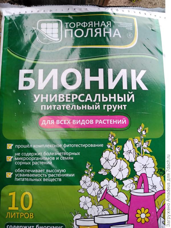 Ттттт