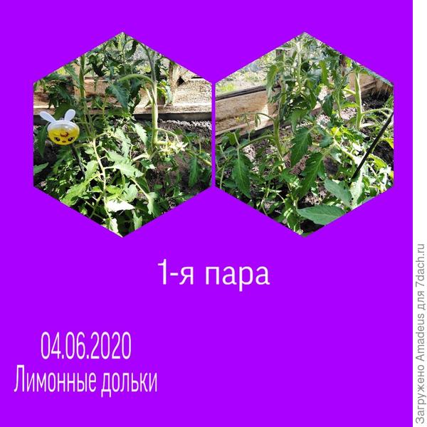 Тттт