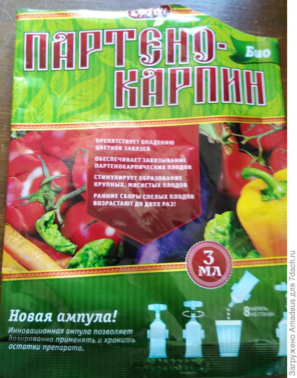 Ттттт