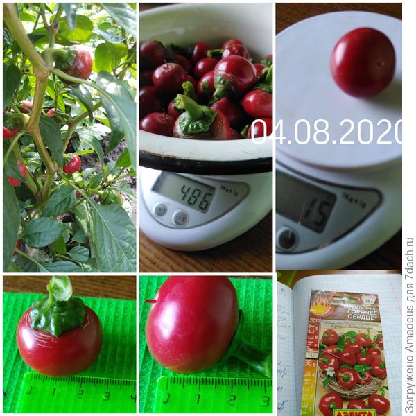 Чистый вес 0,248кг