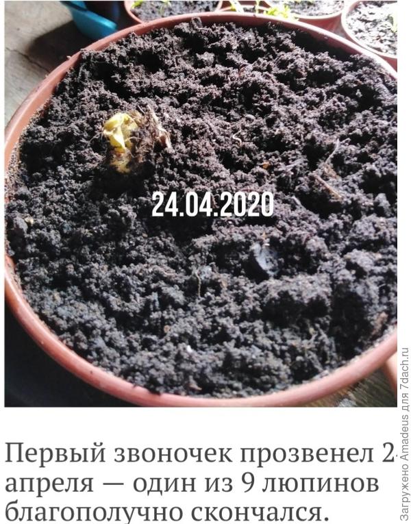 Тттттть