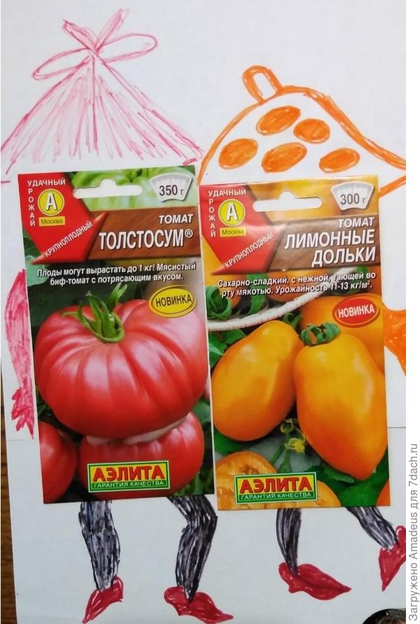 Тттть