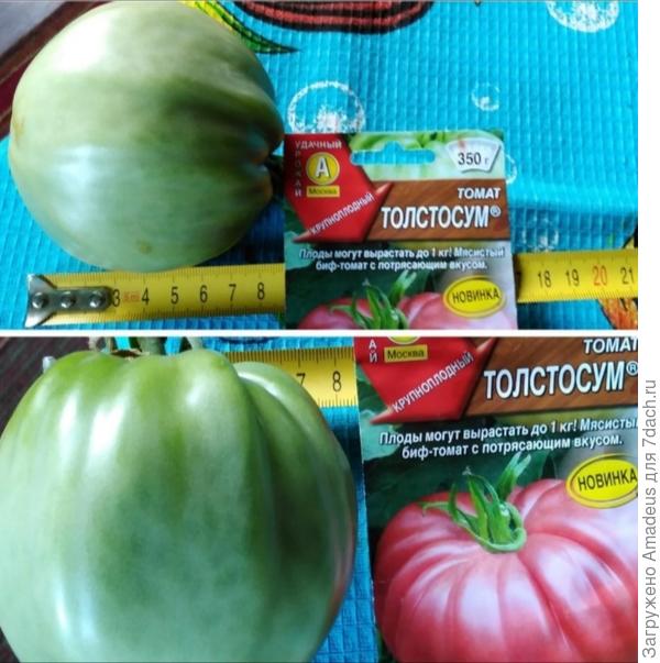 8 х 8 см, слегка плоские