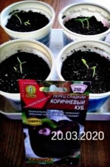 А на 20 марта уже все взошли!