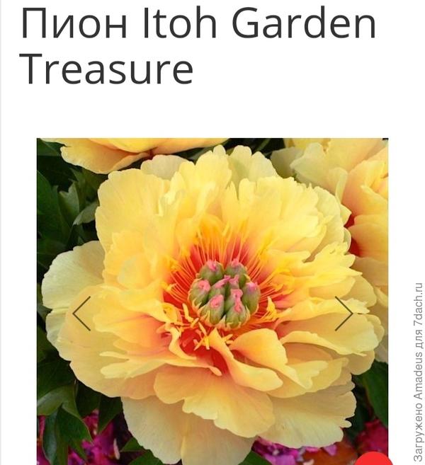 Похоже тоже заболеваю ими