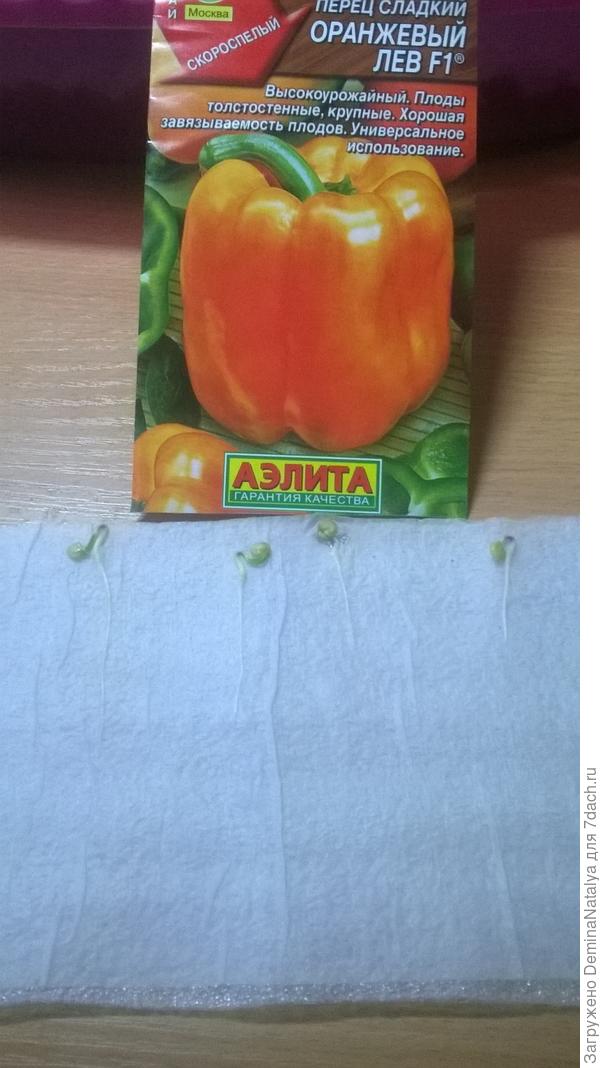 Проклюнувшиеся семена