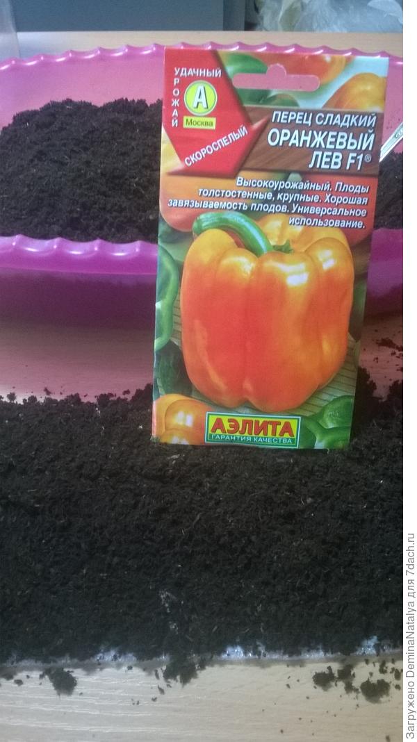 Засыпаем землей