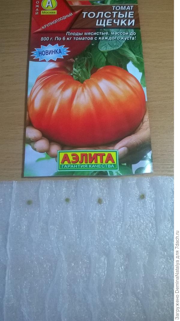 Раскладываем семена