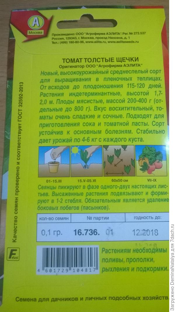 Оборотная сторона