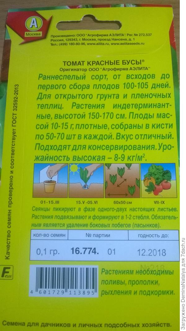 Оборотная сторона