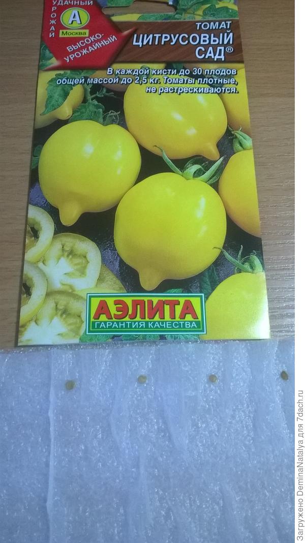 Раскладываем семена на "улитку"