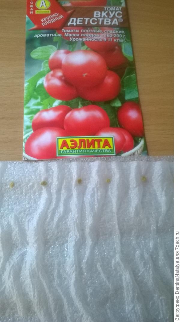 Раскладываем семена на бумагу