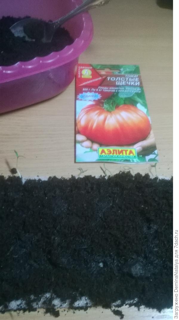 Насыпаем в"улитку" землю