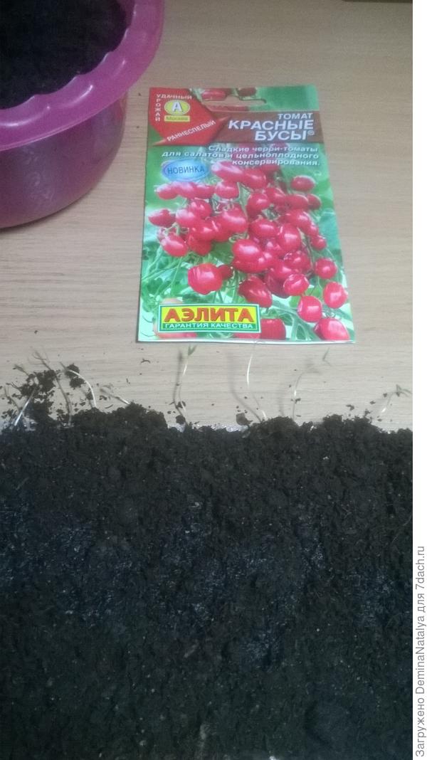Засыпаем "улитку" землей