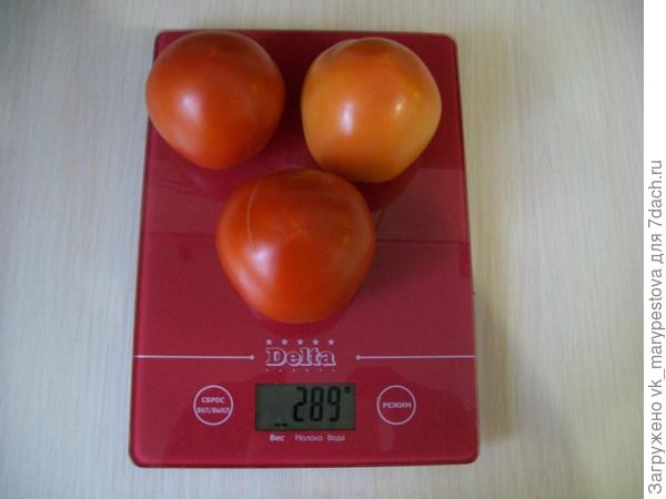 белая ПЛОДЫ.JPG