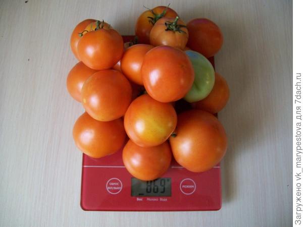 правая плоды.JPG