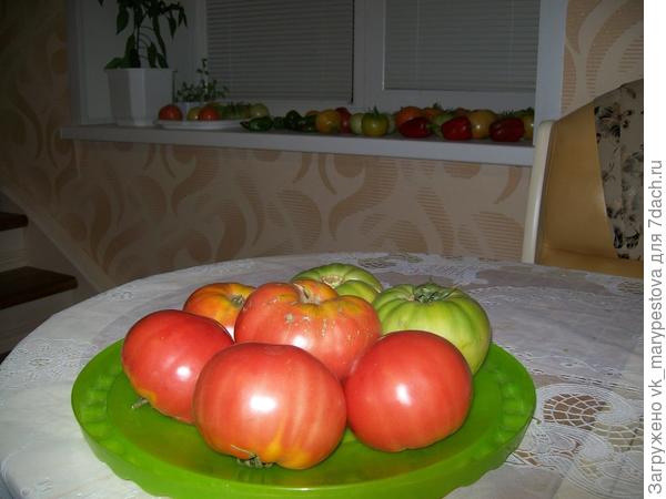 127_6829.JPG