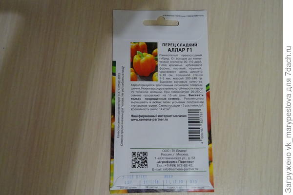 Посадка инкрустированных семян перца