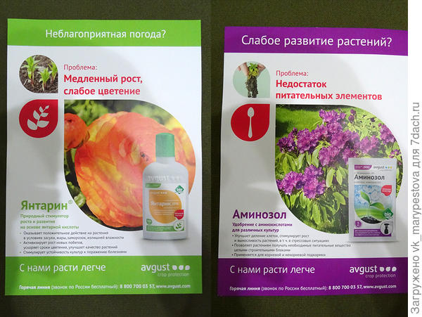 Напоминалки