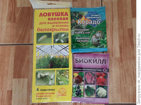Насекомым раздолья не будет