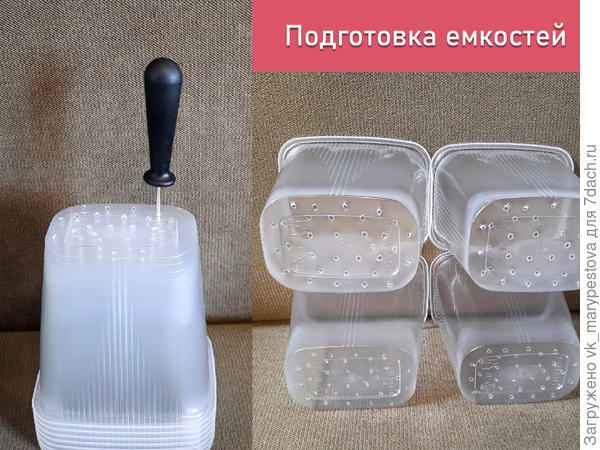 Емкости для последнего рассадного месяца томатов