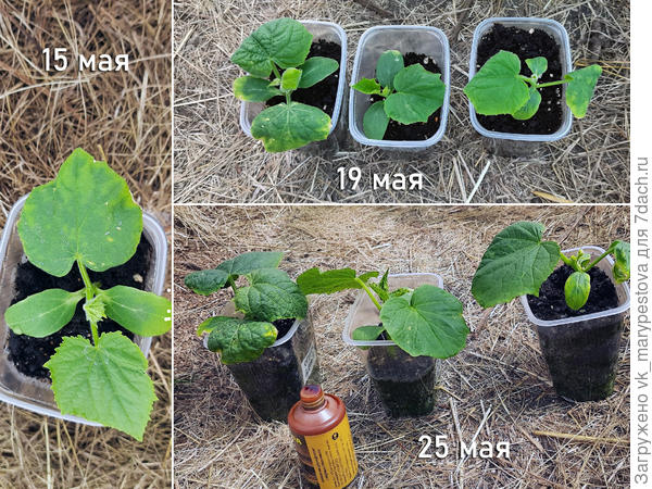 Преодолеваем трудности