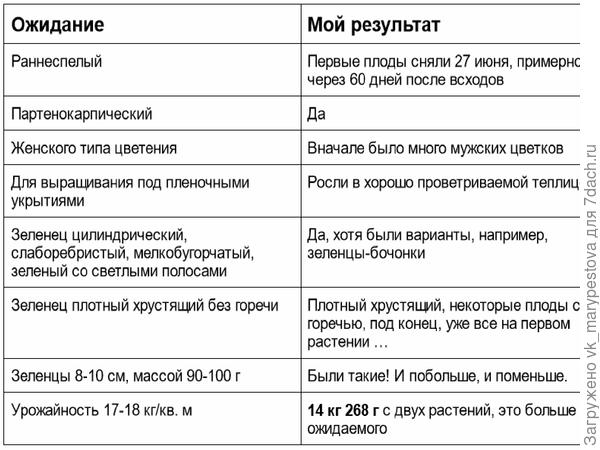 Мои итоги по огурцу Дачный F1