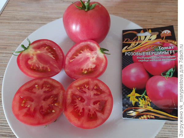 Дегустация 6 сентября