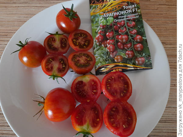 Дегустация 6 сентября