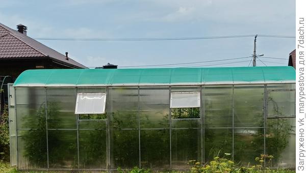 Новая теплица с затенением