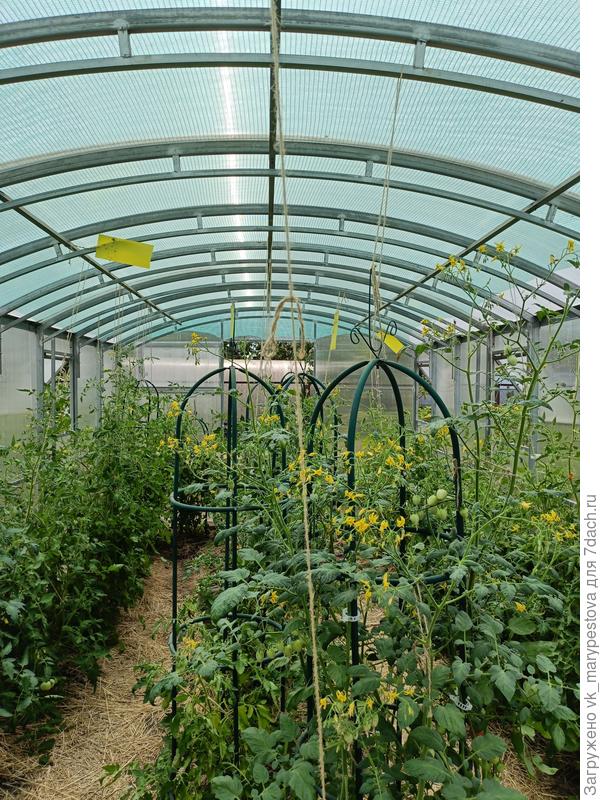 На крыше зеленая затеняющая сетка 60%