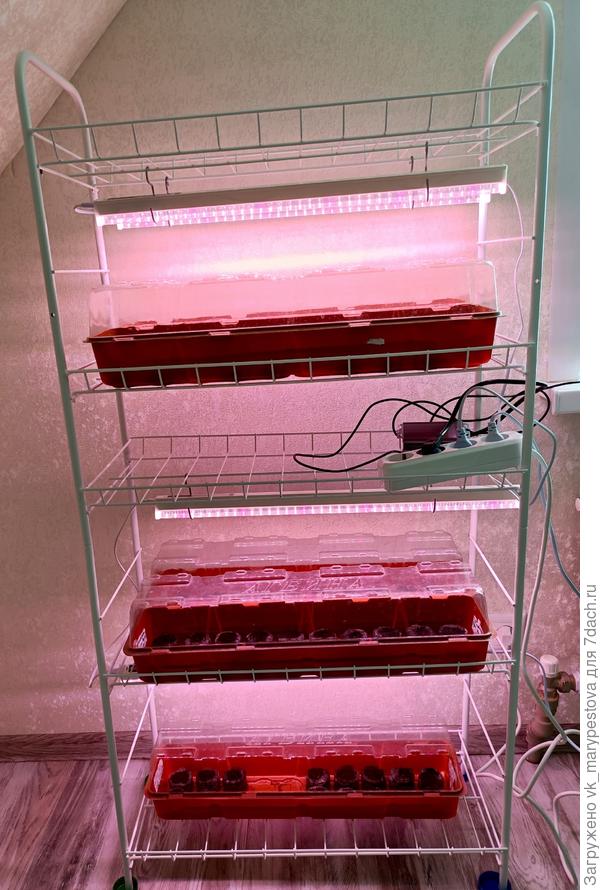 Стеллаж для петуний с подсветкой