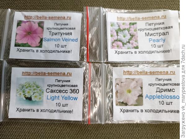 4 сорта крупноцветковых петуний