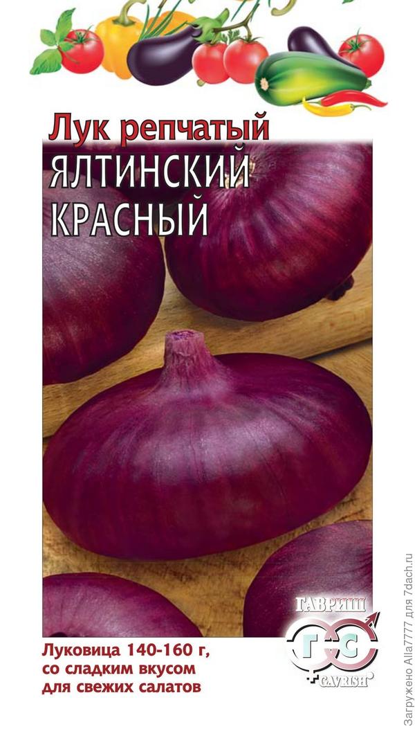 ялтинский лук