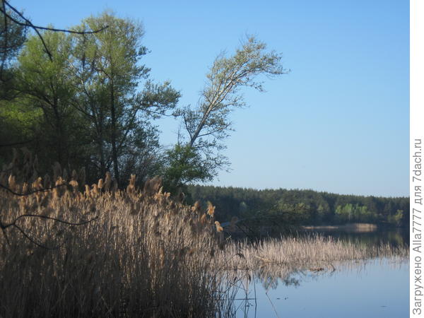Печенежское водохранилище