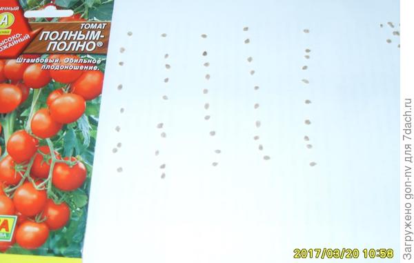 Сорт томатов полным полно отзывы. Семена помидор полным полно. Сорт помидор полным полно. Томаты полным-полно описание сорта.
