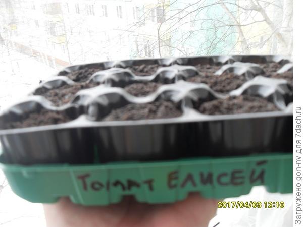 Общее количество торфяных таблеток – 12.