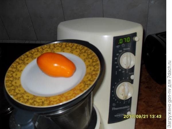 масса плода