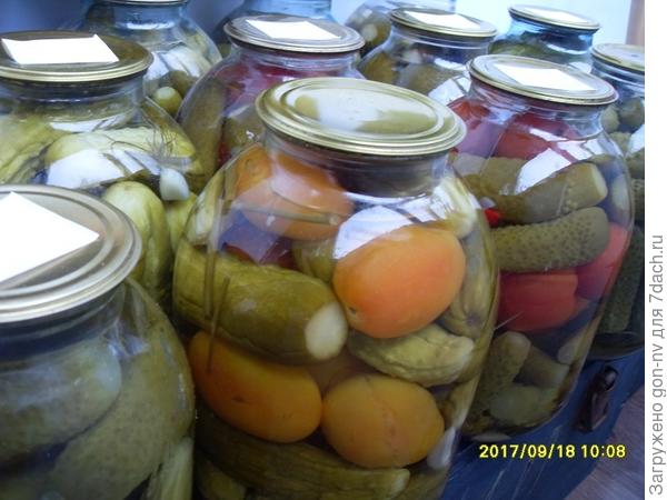 заготовки