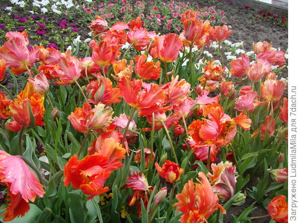 С ДНЕМ РОЖДЕНИЯ!!!!!