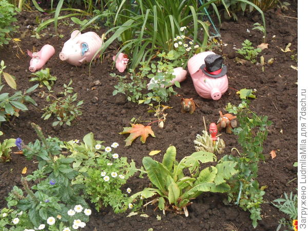 Из бутылок.